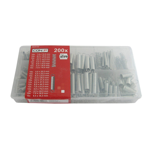 ASSORTIMENTO MOLLE ZINCATE 200PZ