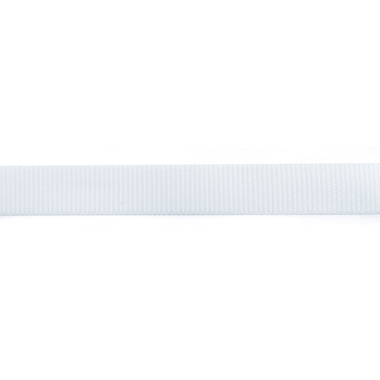 CINGHIA POLIP-H25 MM BIANCA MT 50
