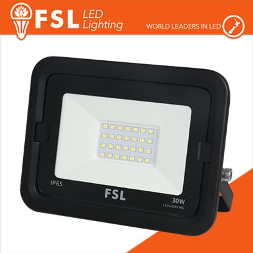 Proiettore per esterni Nero 30W - IP65 115 6500K