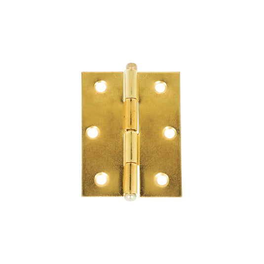 CERNIERE SP.LEVARE F.OTT 50X40 PZ2